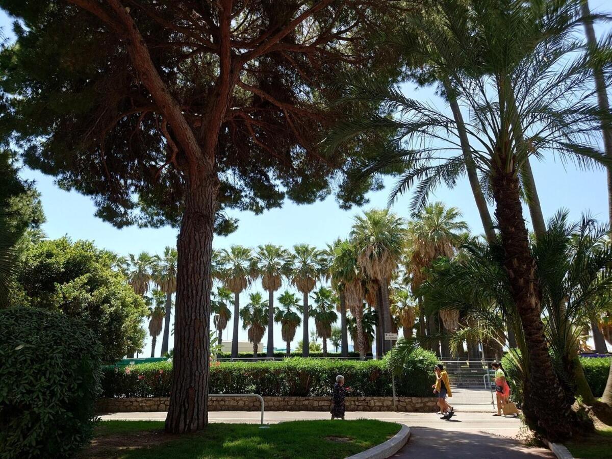 Sunrise & Sunset Palm Beach Croisette Кан Екстериор снимка